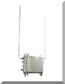 Wireless Mesh